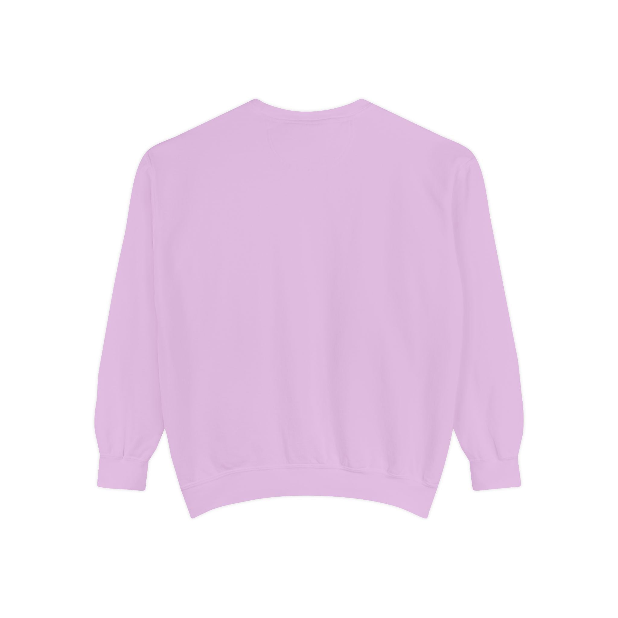 Street Paradise Skate Dog Sweatshirt — Graphic Skateboard Crewneck